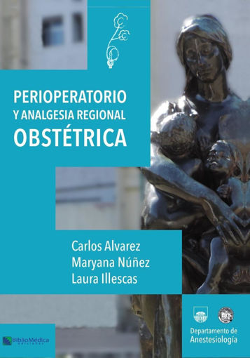 Imagen de Perioperatorio y analgesia regional obstétrica