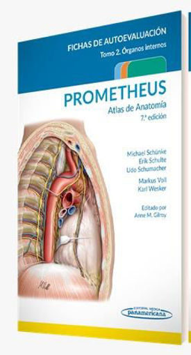 Imagen de PROMETHEUS ATLAS DE ANATOMIA FICHAS DE AUTOEVALUACION TOMO 2 ORGANOS INTERNOS