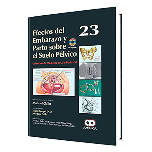 Imagen de Efectos del embarazo y parto sobre el suelo pélvico