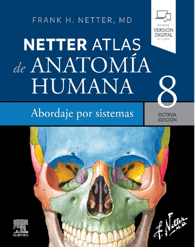 Imagen de Netter. Atlas de anatomía humana. Abordaje por sistemas