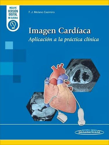 Imagen de Imagen Cardiaca. Aplicacion a la Practica Clinica