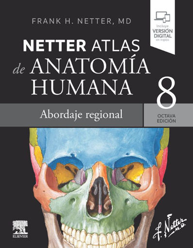 Imagen de Netter  Atlas de anatomía humana Abordaje regional