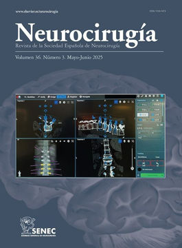 Imagen de Neurocirugía 2025 ON LINE (6 fascículos anuales)