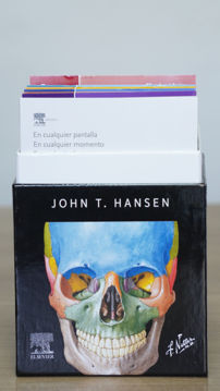 Imagen de Netter  Flashcards de Anatomía