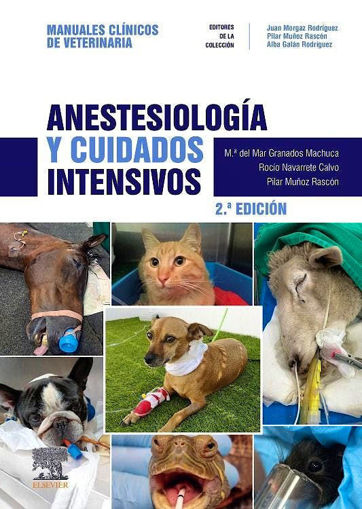 Imagen de Anestesiología y cuidados intensivos
