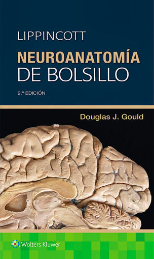 Imagen de Neuroanatomía de bolsillo 2ed
