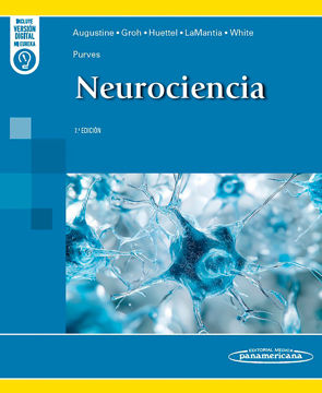 Imagen de PURVES Neurociencia 7ed