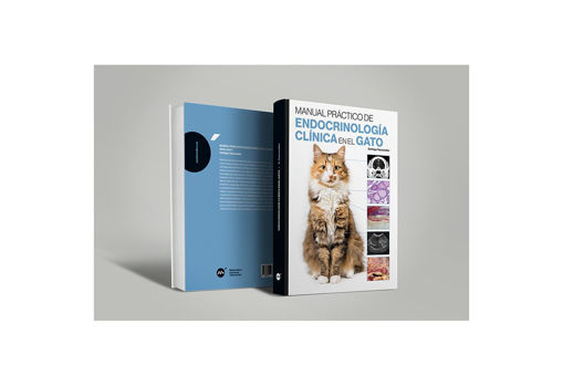 Imagen de Manual práctico de endocrinología clínica en el gato