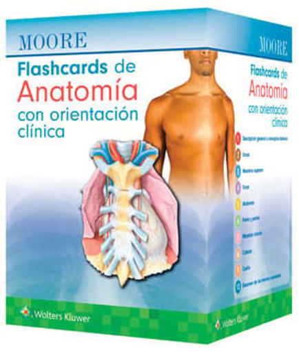 Imagen de Moore. Flashcards de Anatomía con orientación clínica