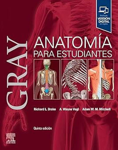 Imagen de Gray. Anatomía para estudiantes