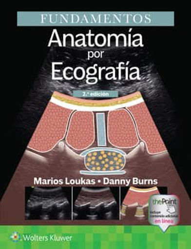 Imagen de Fundamentos. Anatomía por ecografía
