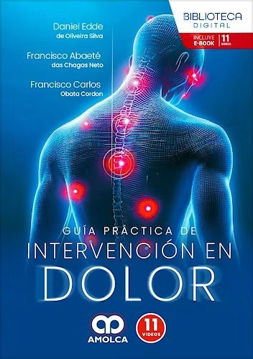 Imagen de Guía práctica de intervención en dolor