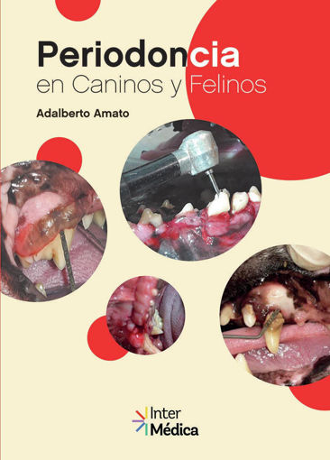Imagen de Periodoncia en Caninos y Felinos