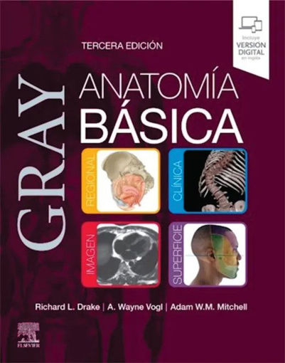 Imagen de Gray. Anatomia basica